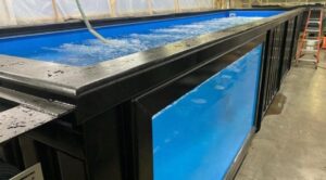 40ft luxury Container Pool