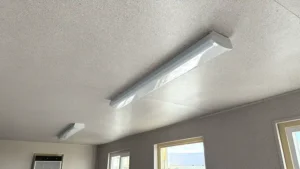 20ft Ground Level Office Container